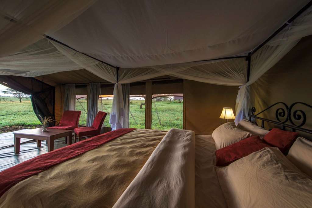 Karibu Camps And Lodges Sametu Camp Serengeti Robanda Номер фото
